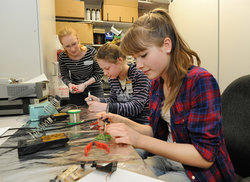 Girls'Day at GSI/FAIR Girls'Day at GSI/FAIR